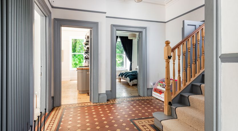 Photo of The Peacock's Feathered Plume