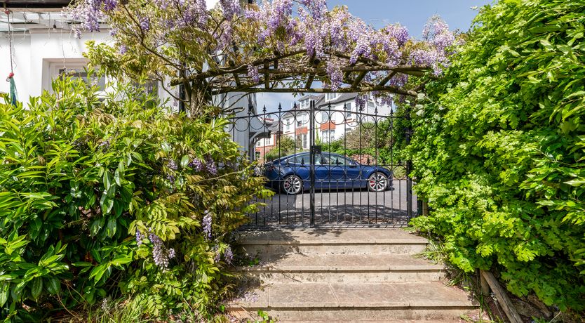 Photo of The Peacock's Feathered Plume