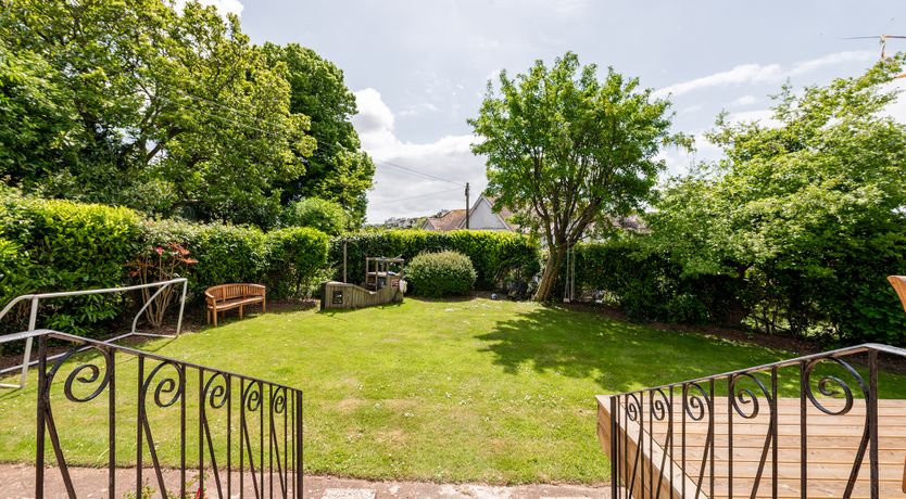 Photo of The Peacock's Feathered Plume