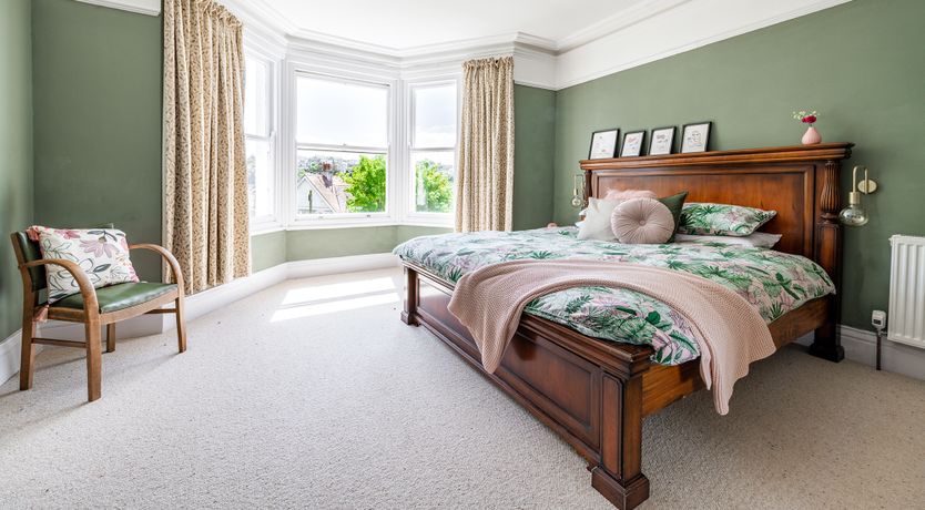 Photo of The Peacock's Feathered Plume