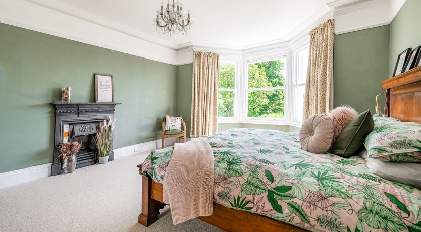 Photo of The Peacock's Feathered Plume