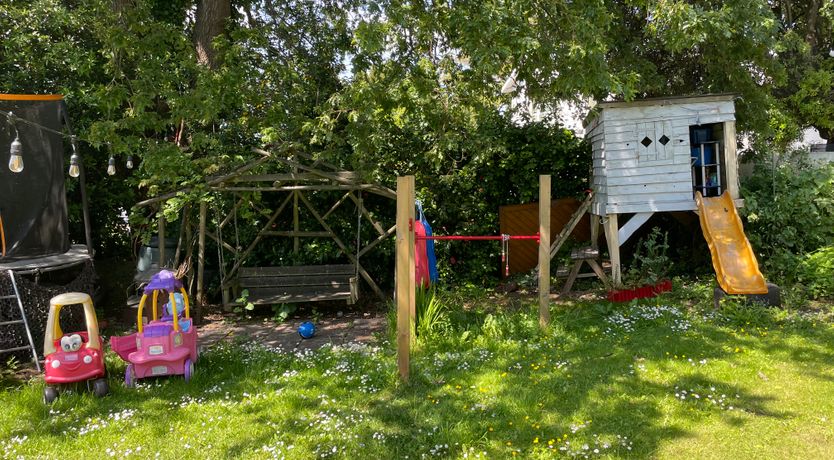 Photo of The Peacock's Feathered Plume