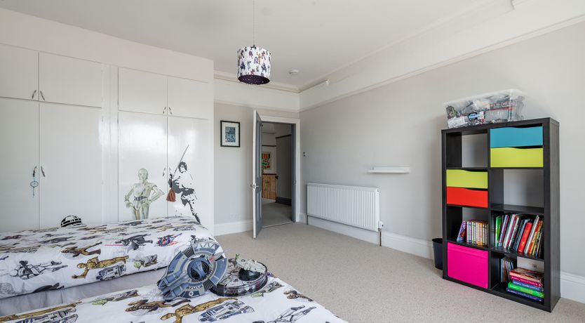 Photo of The Peacock's Feathered Plume