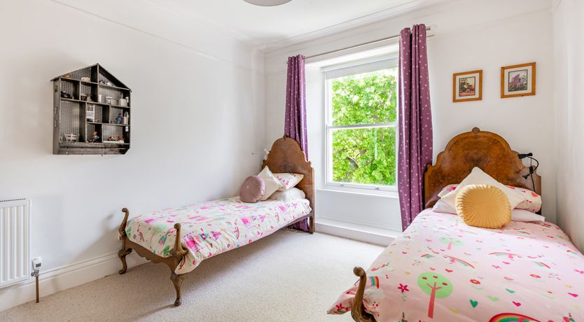 Photo of The Peacock's Feathered Plume