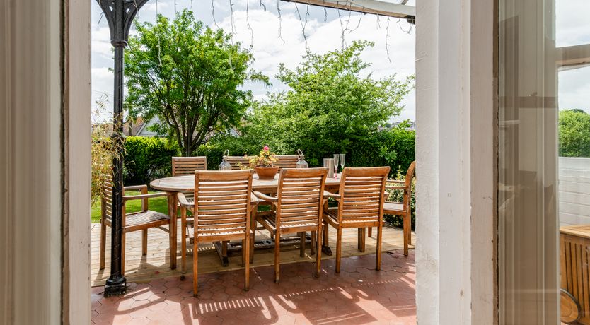 Photo of The Peacock's Feathered Plume