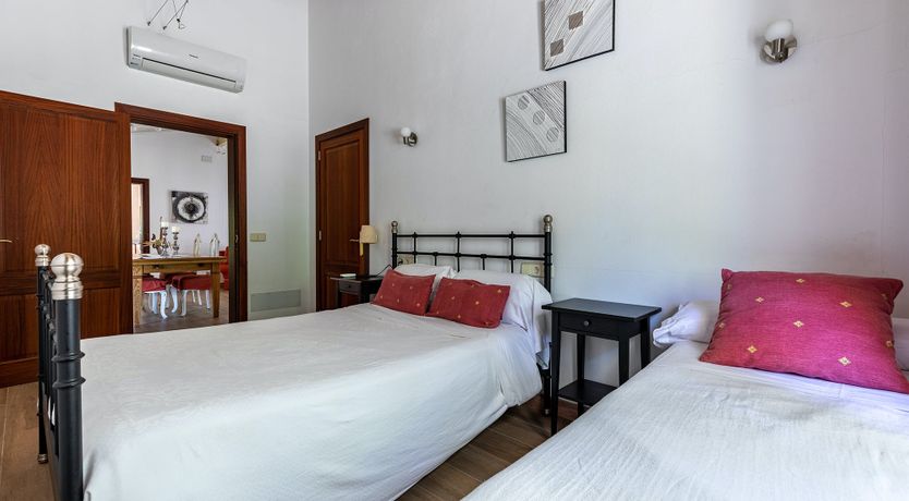 Photo of Sunny Daydreams