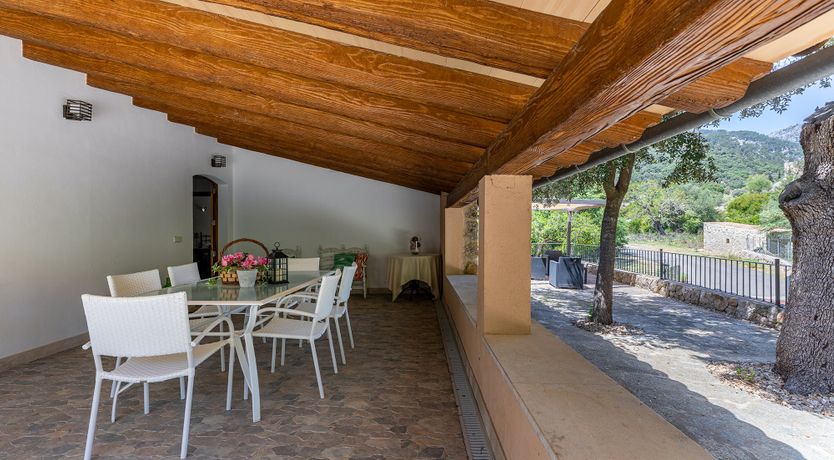 Photo of Sunny Daydreams