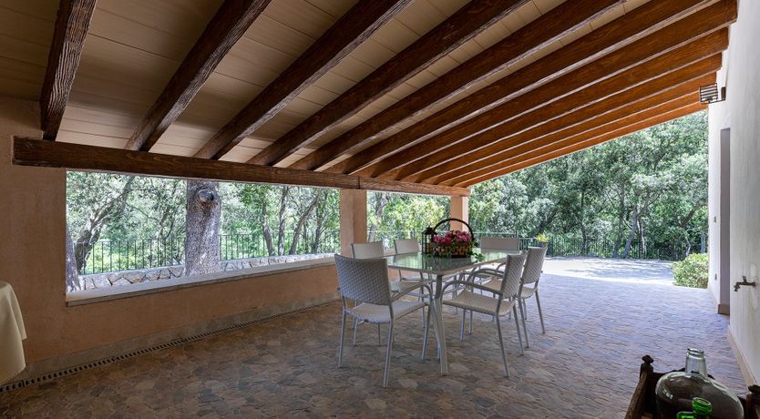 Photo of Sunny Daydreams