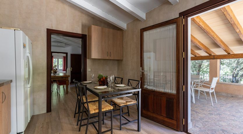 Photo of Sunny Daydreams