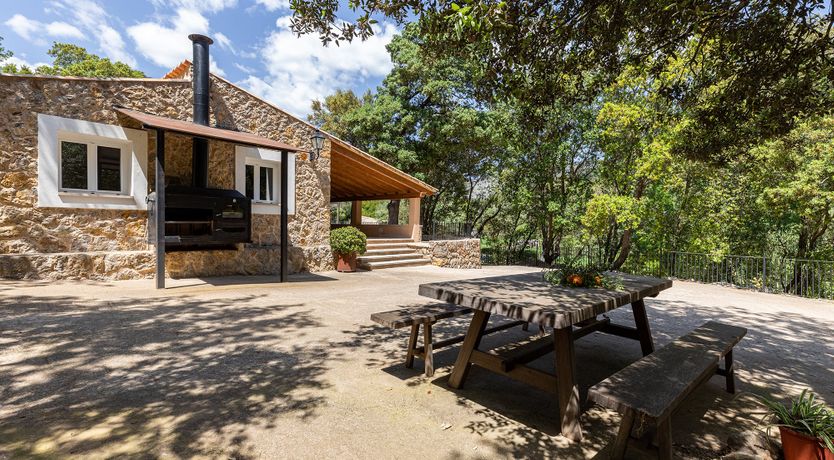 Photo of Sunny Daydreams