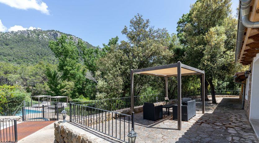 Photo of Sunny Daydreams