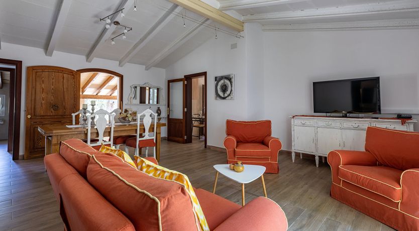 Photo of Sunny Daydreams