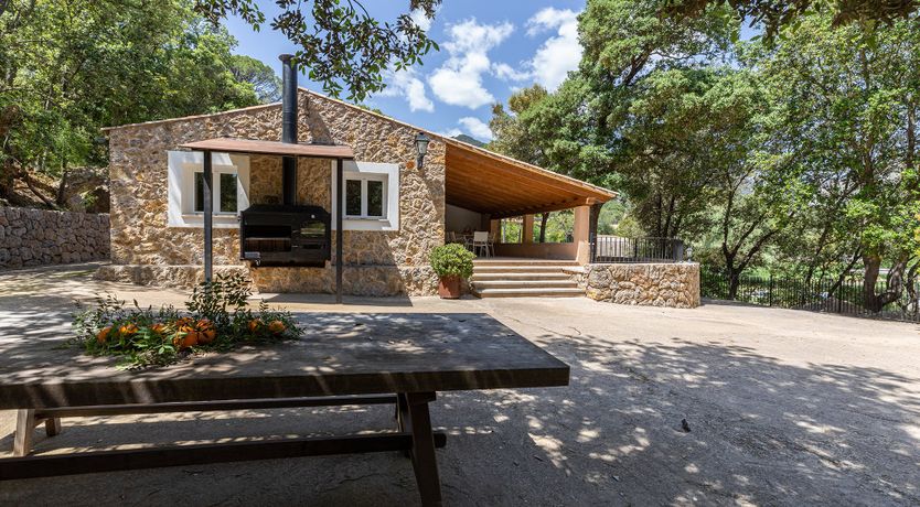 Photo of Sunny Daydreams