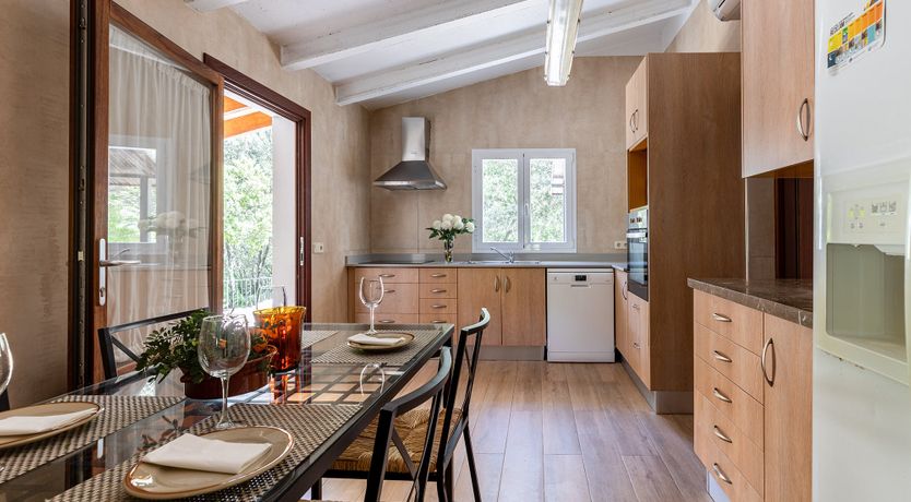 Photo of Sunny Daydreams