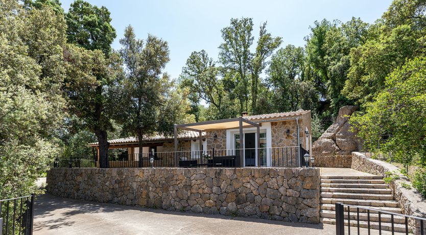 Photo of Sunny Daydreams