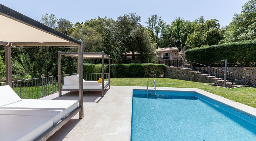 Photo of Sunny Daydreams