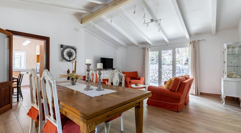 Photo of Sunny Daydreams