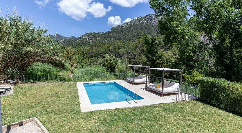 Photo of Sunny Daydreams