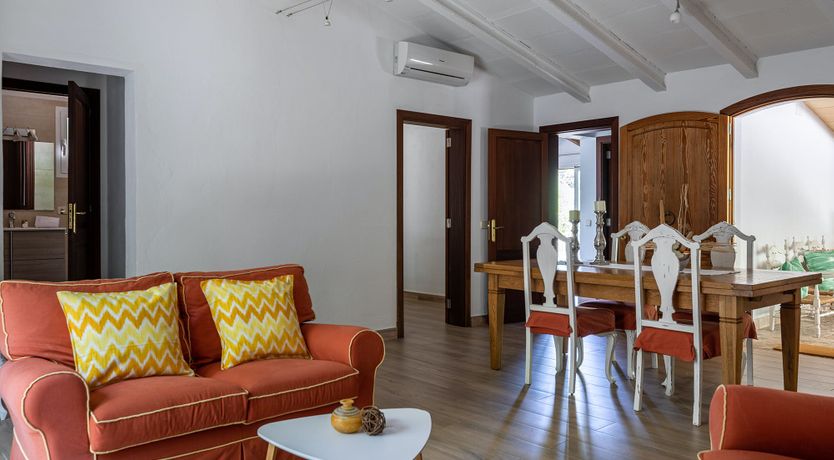 Photo of Sunny Daydreams