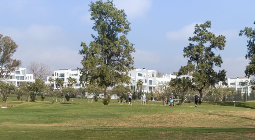 Photo of Sparks of Colour