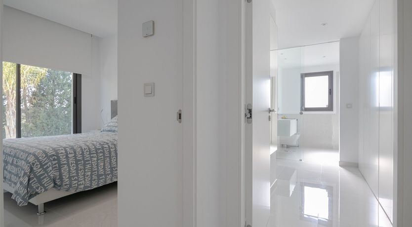 Photo of Sparks of Colour