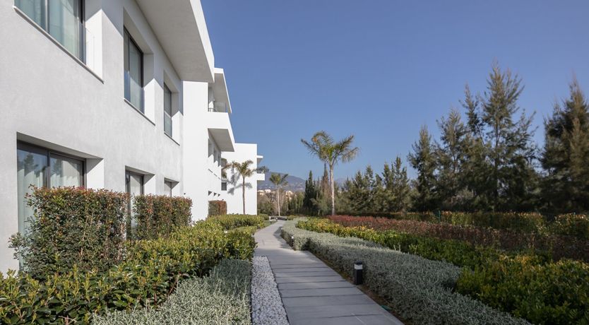 Photo of Sparks of Colour