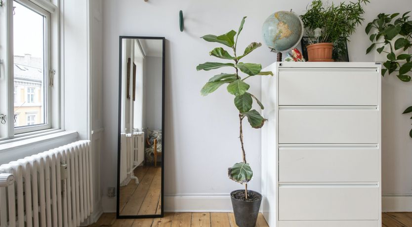 Photo of The Alphabet