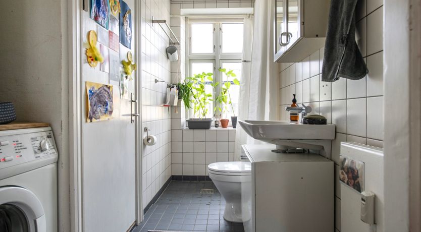 Photo of The Alphabet