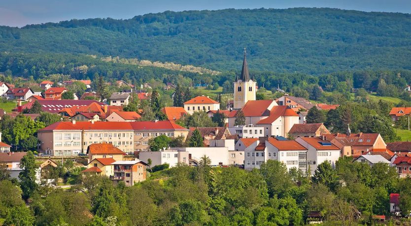 Photo of Dream in Green