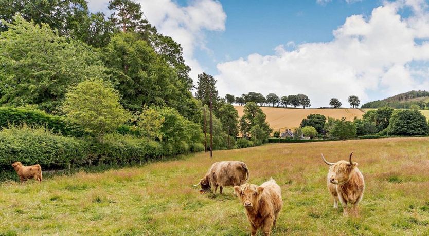 Photo of 1 Bed in Hawick