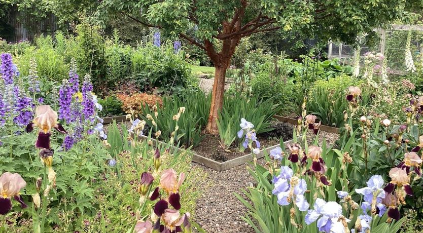 Photo of 1 Bed in Hawick