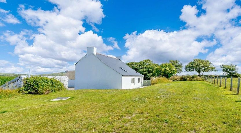 Photo of in St Davids  (88892)