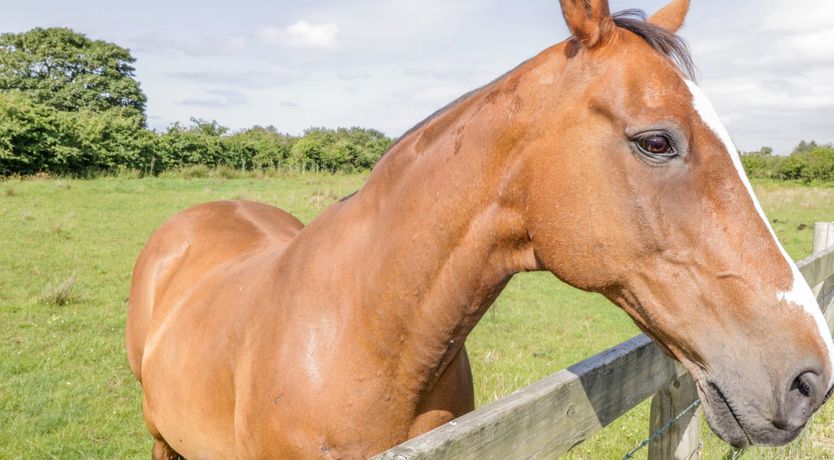 Photo of Carpenter’s Cottage