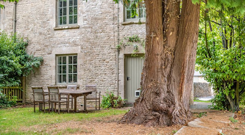 Photo of Sugar & Lime