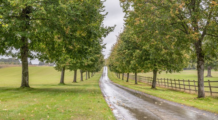 Photo of Sugar & Lime