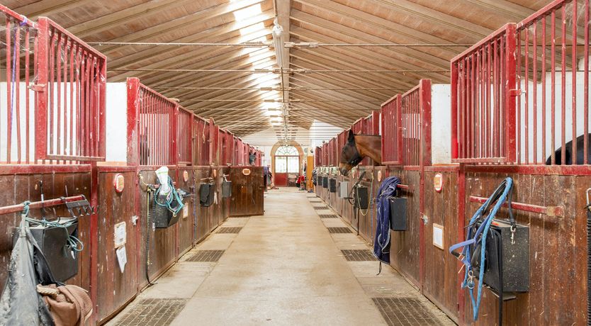 Photo of Tuscan Rustica