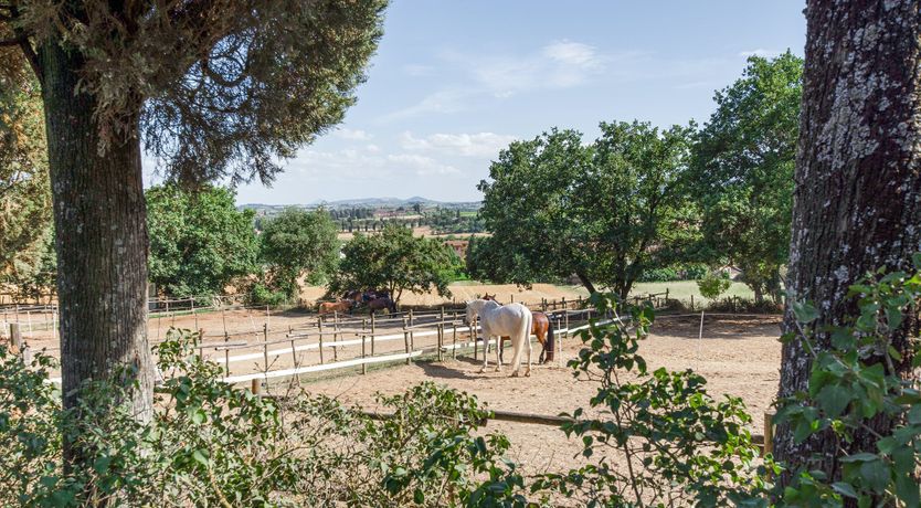 Photo of Tuscan Rustica