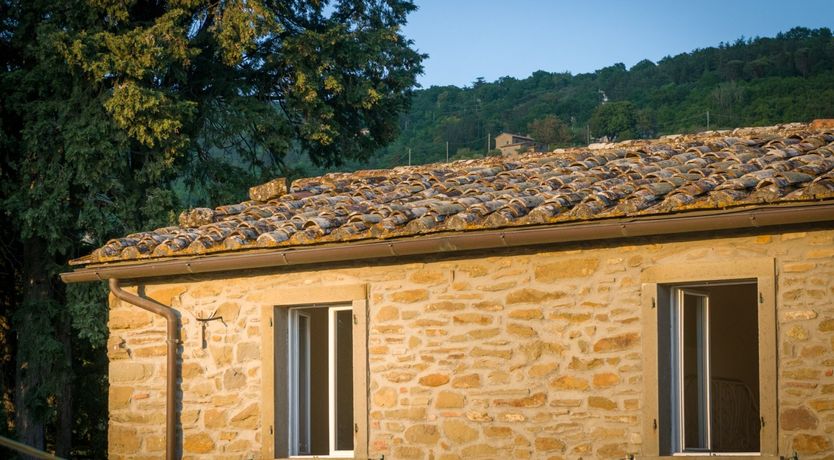 Photo of The Ancient Stone