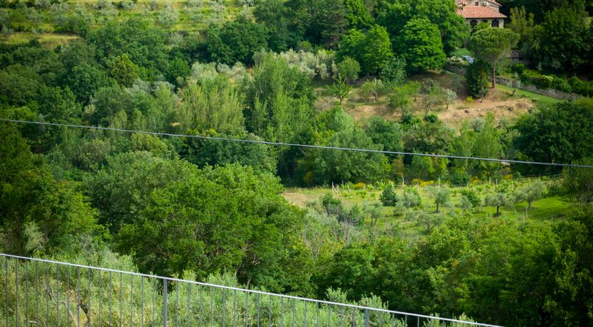 Photo of The Ancient Stone