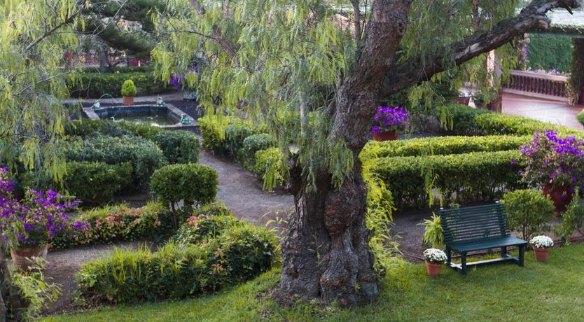 Photo of Marcelino Villa