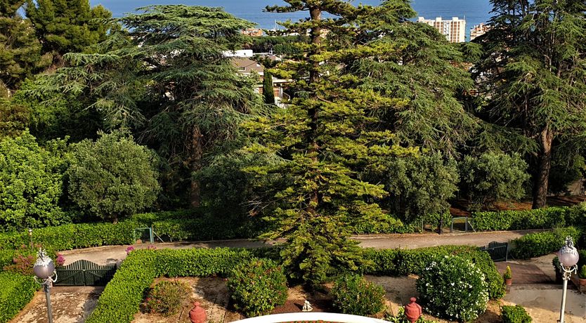 Photo of Marcelino Villa