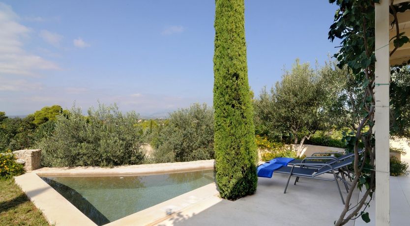 Photo of Paintings By Petals