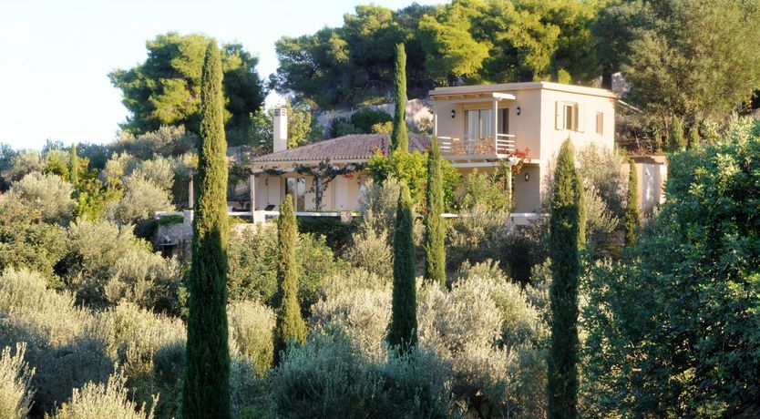 Photo of Paintings By Petals