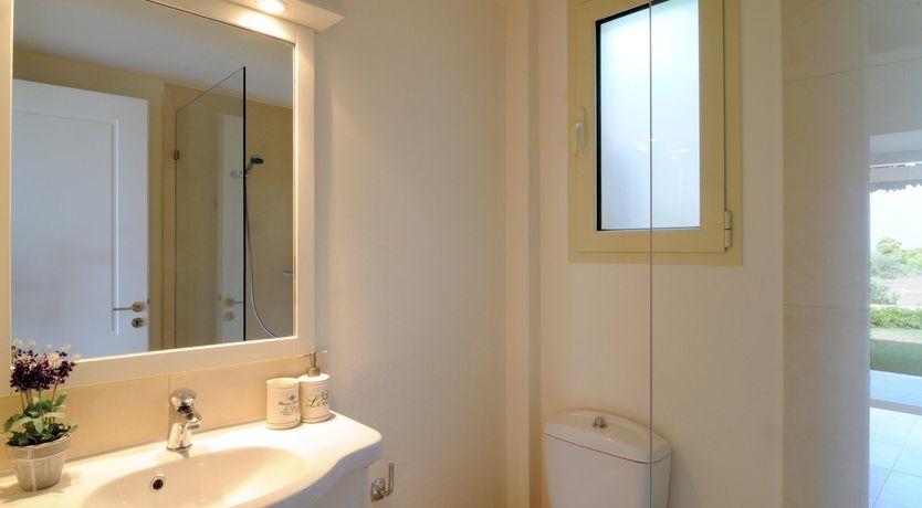 Photo of Paintings By Petals