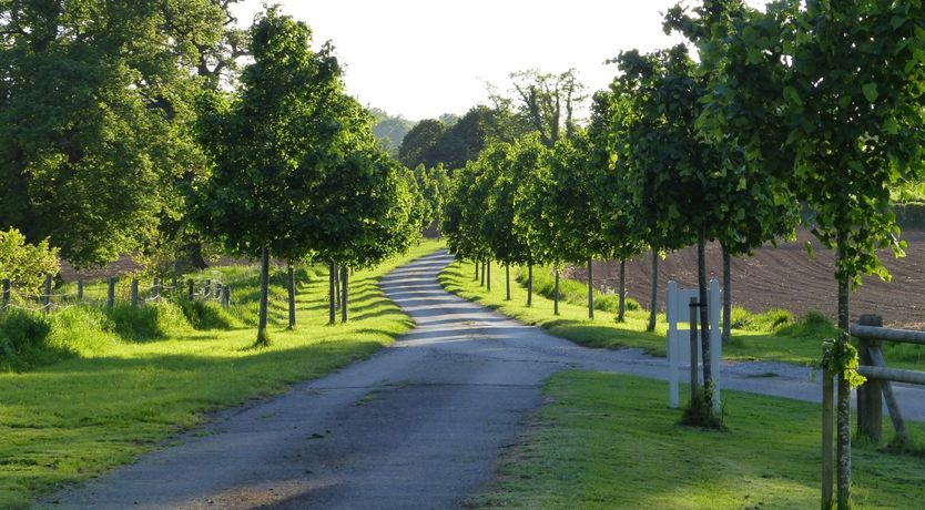 Photo of The Old Stable