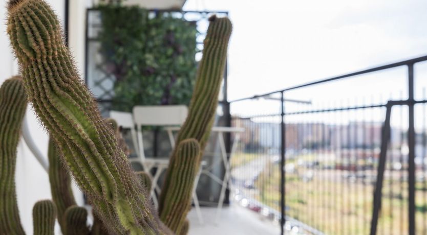 Photo of Art on the Vine