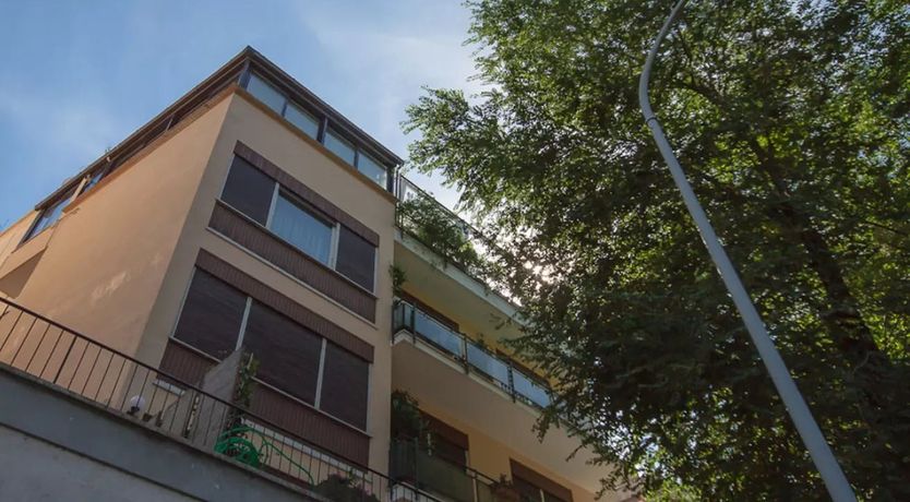 Photo of Botanical Dreams