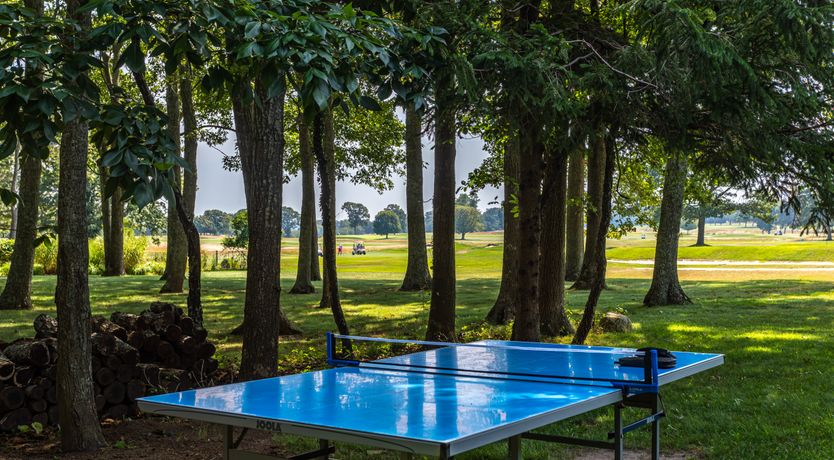 Photo of Straight Down the Middle