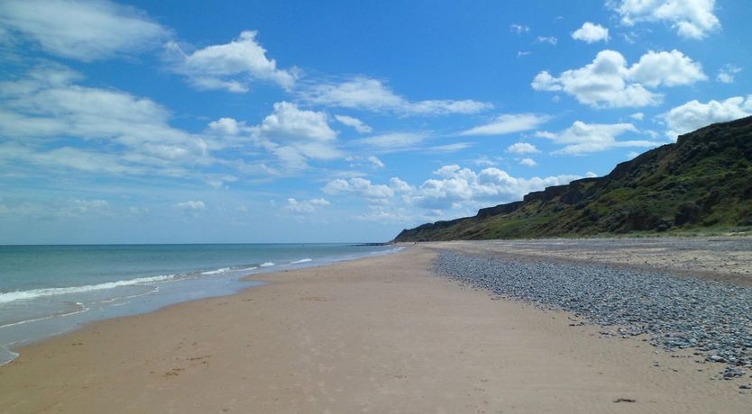 Photo of The Firecrest