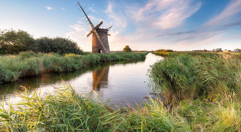 Photo of The Firecrest